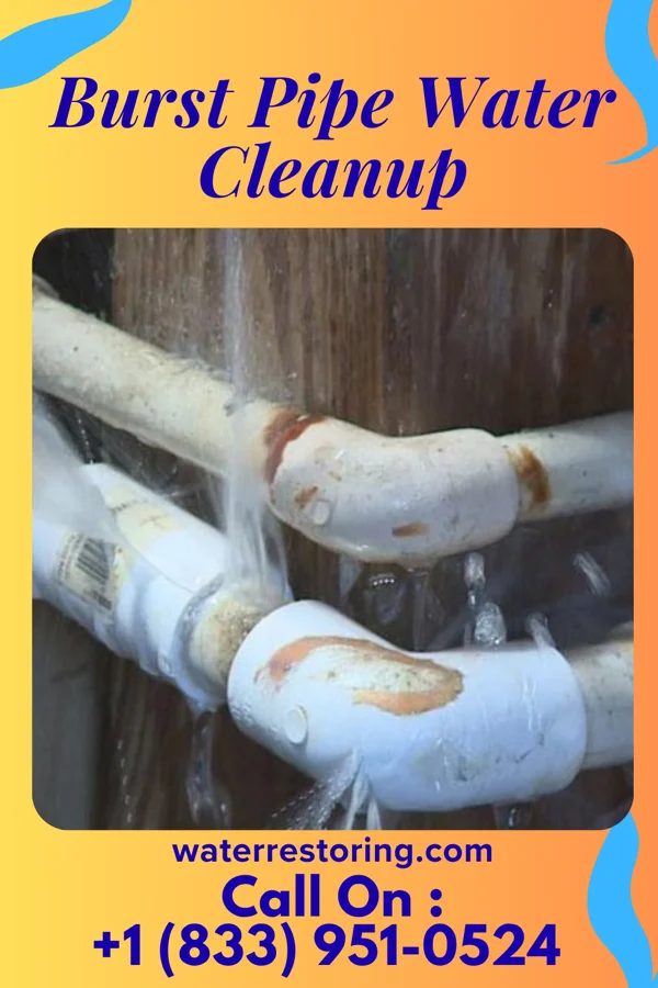 Burst Pipe Water Cleanup in Westover, AL